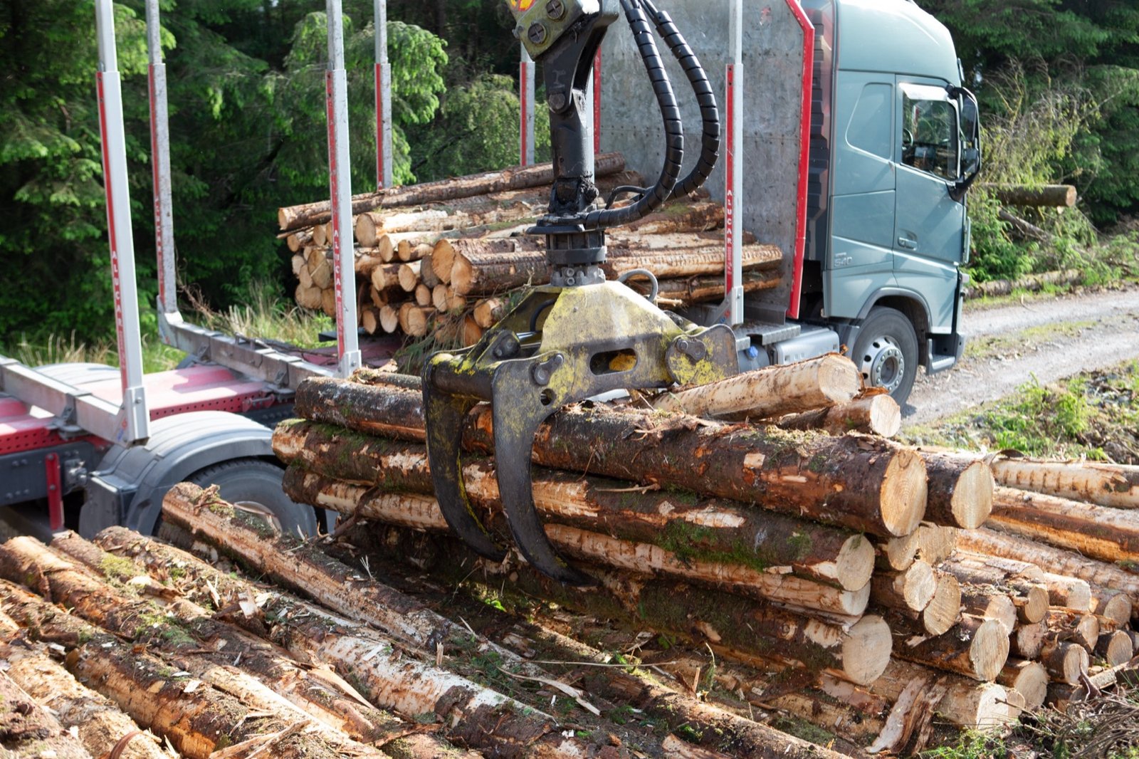 Crane grapple loading logs onto trailer