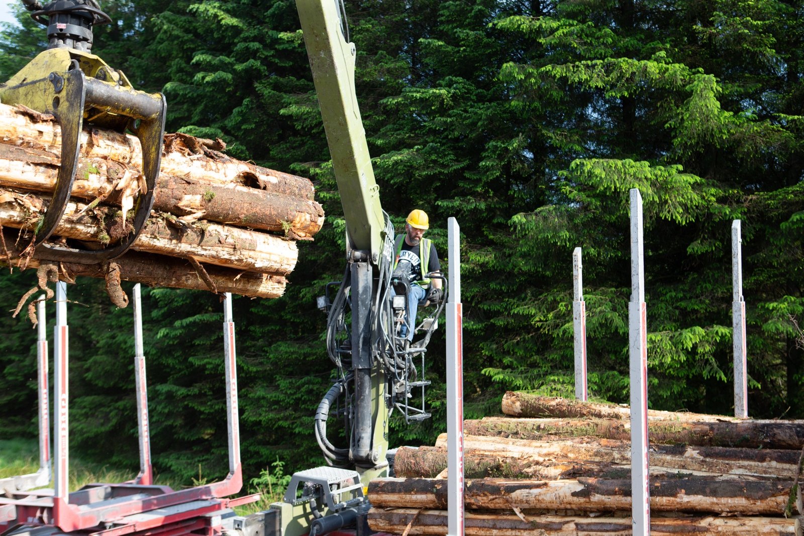 Close-up of crane grab with timber