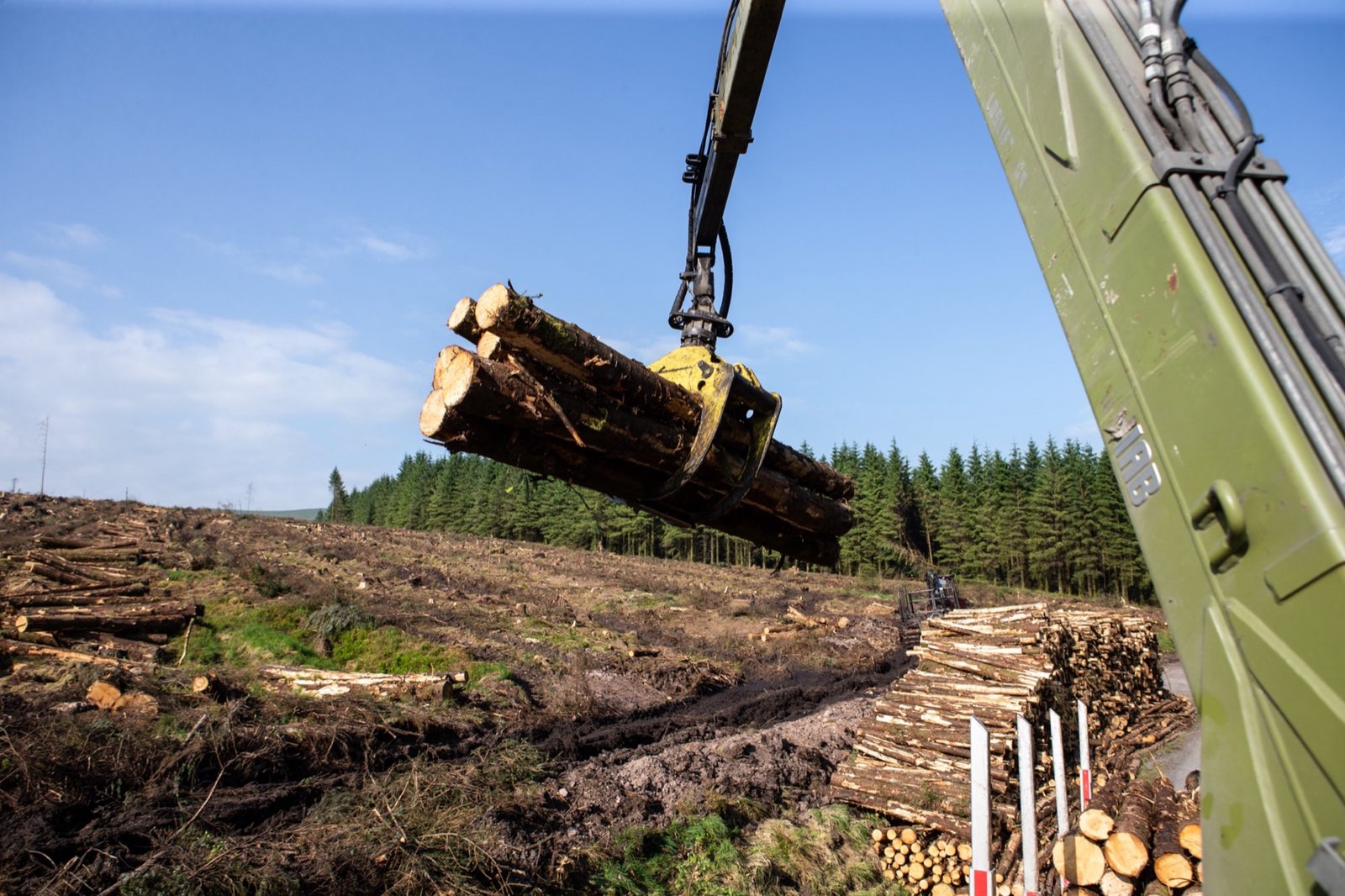 Crane lifting a bundle of logs above a clear-felled site