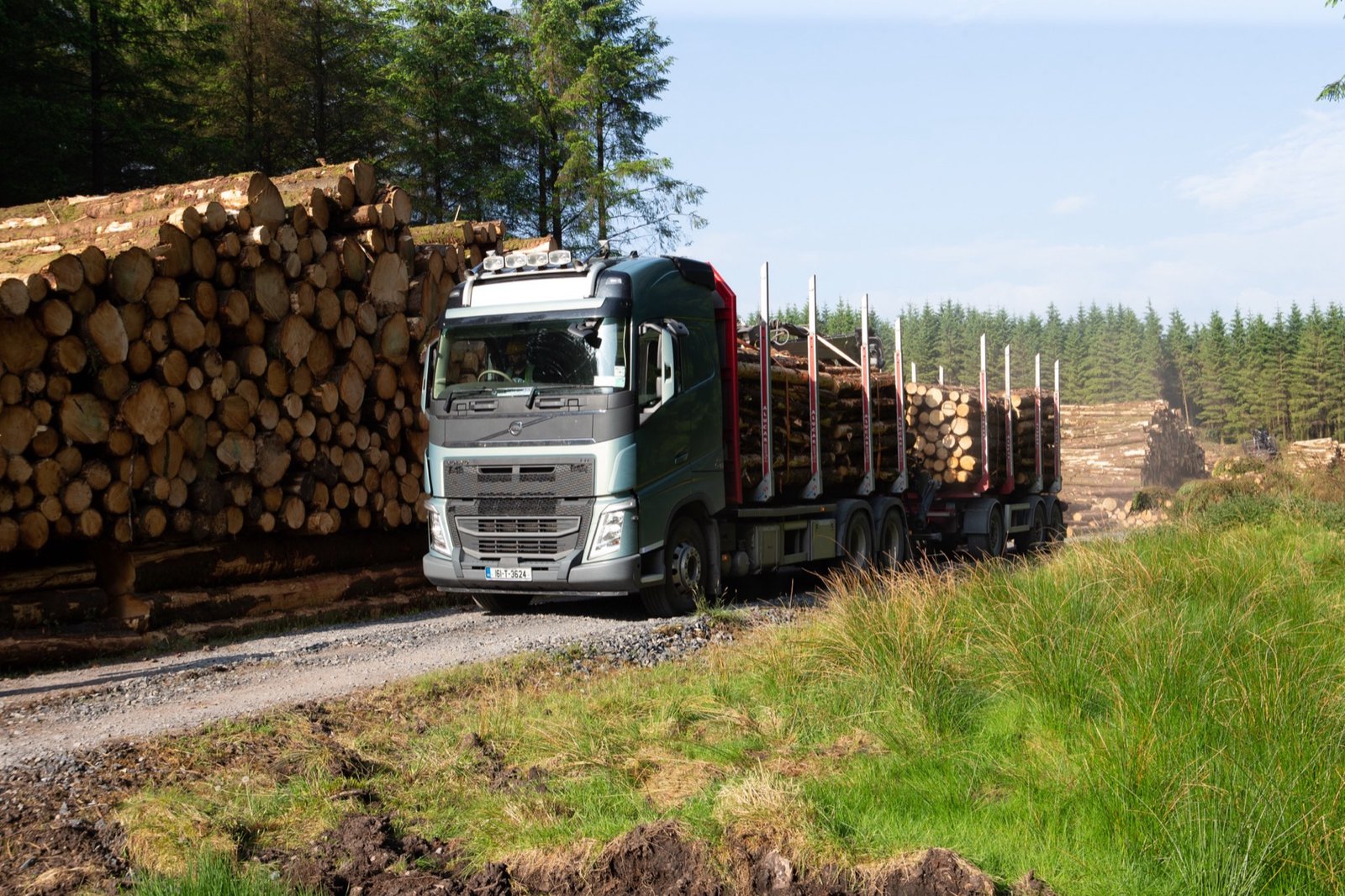 Volvo timber truck travelling between log stacks on a forestry road
