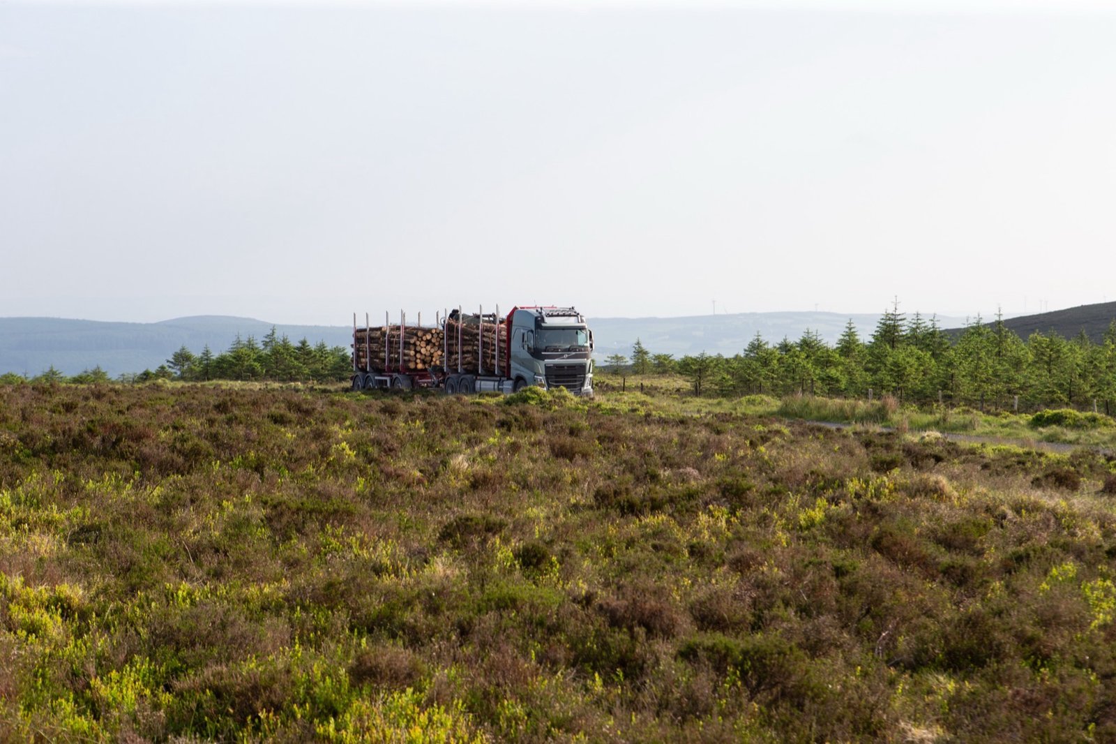 Volvo timber truck on a forestry road through the trees
