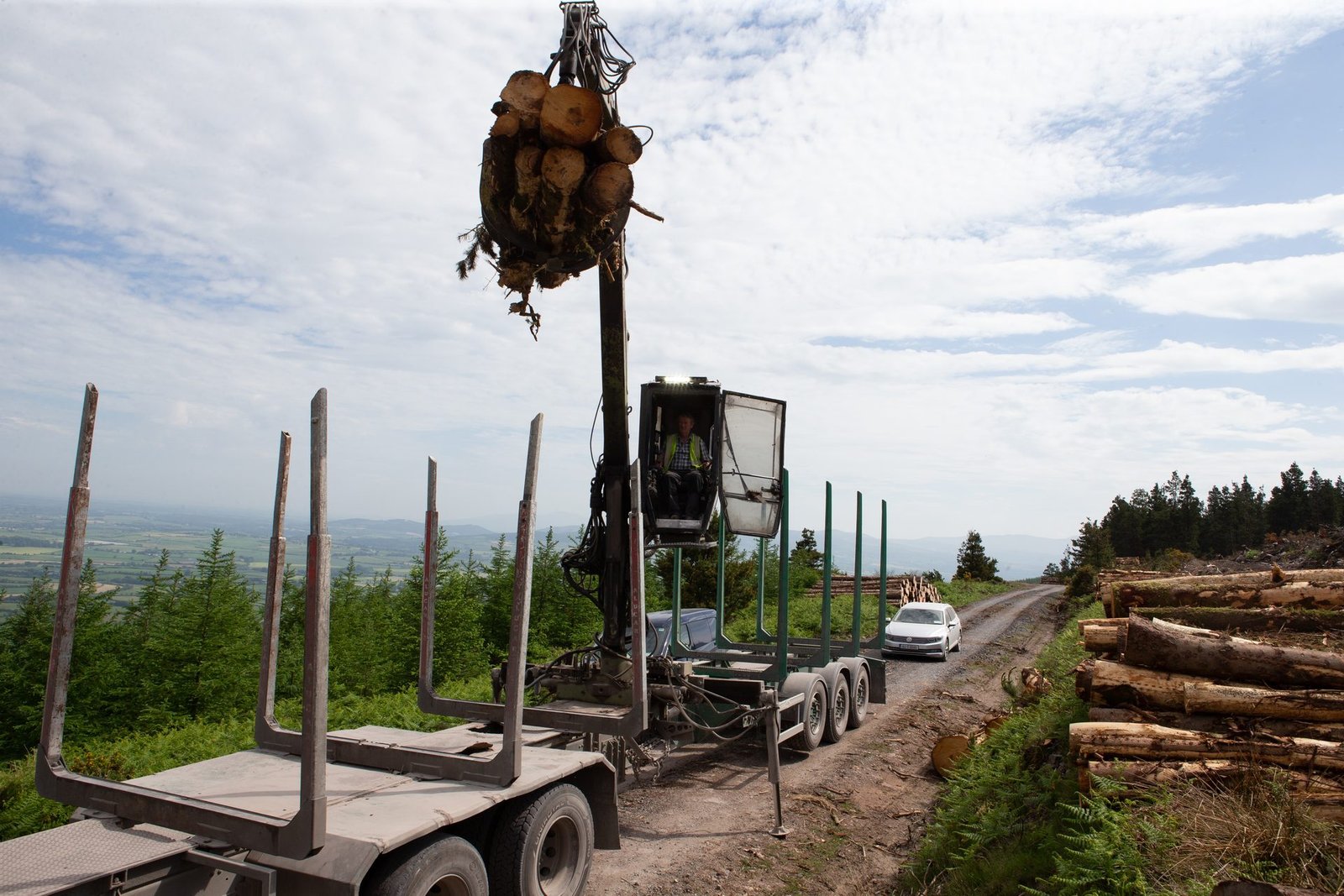 Forestry site with stacked timber and loading crane