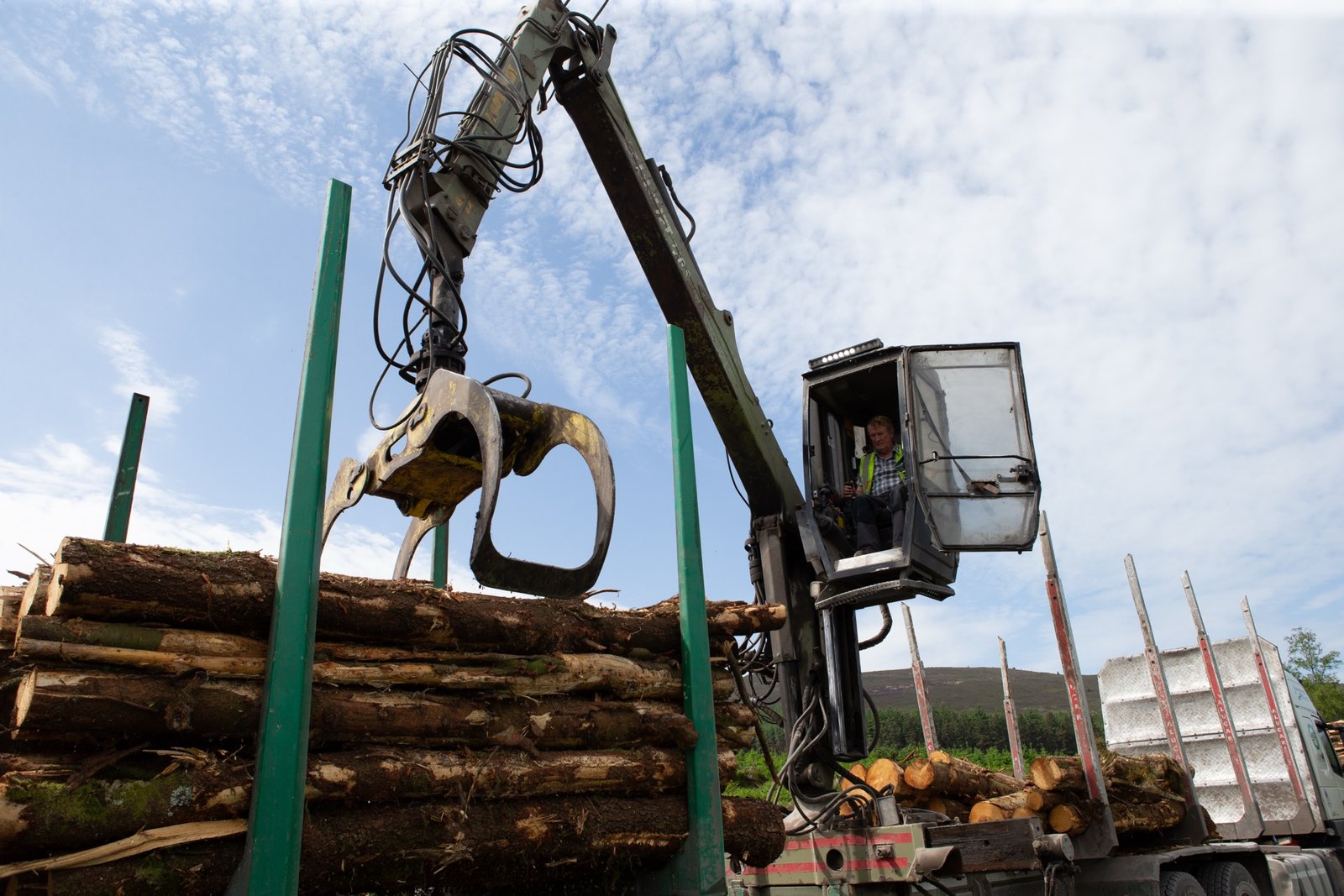 Crane operator loading timber