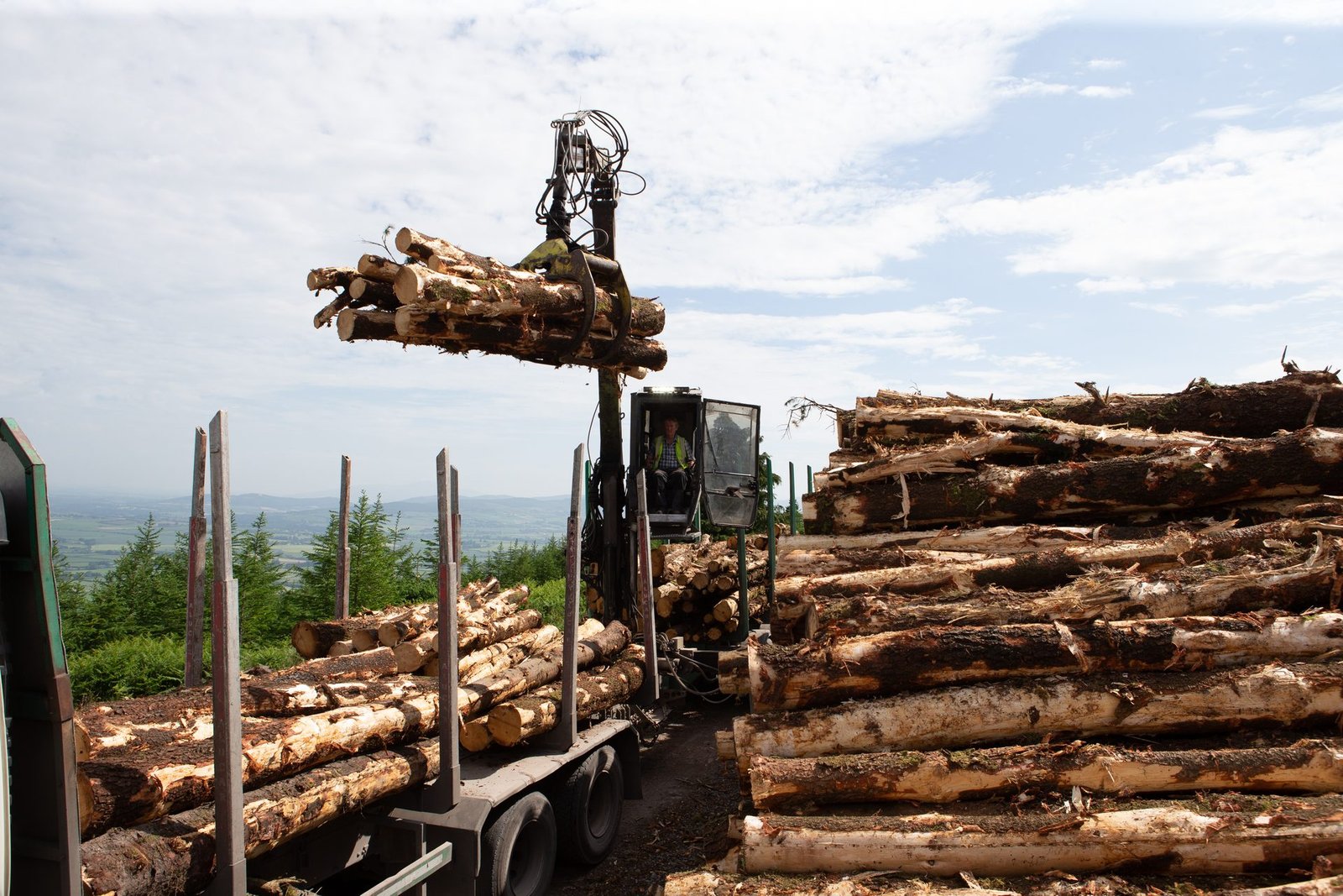 Stacked timber ready for transport