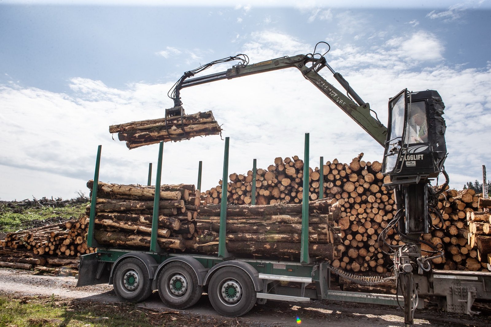 LogLift crane loading timber onto truck
