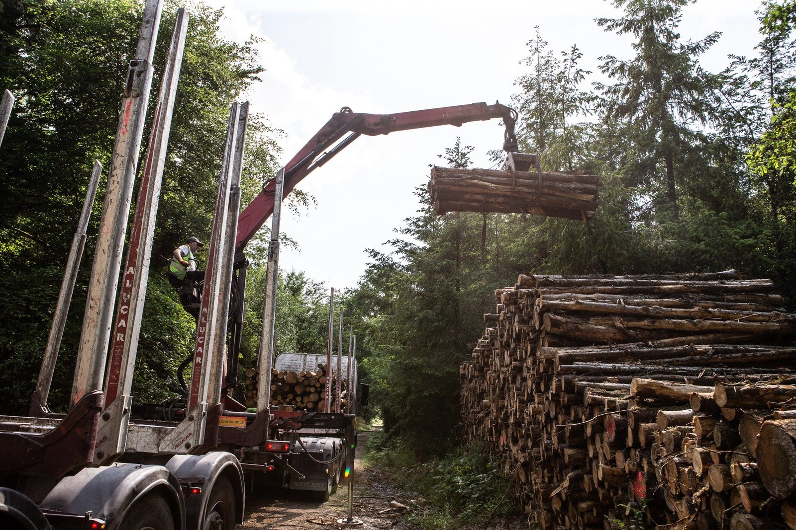 Crane grapple lifting a bundle of logs