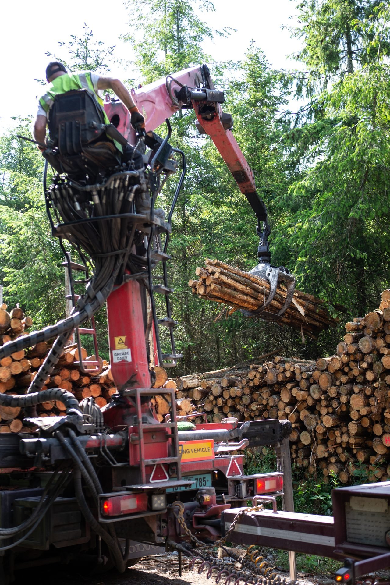 Crane lifting logs at a forestry site