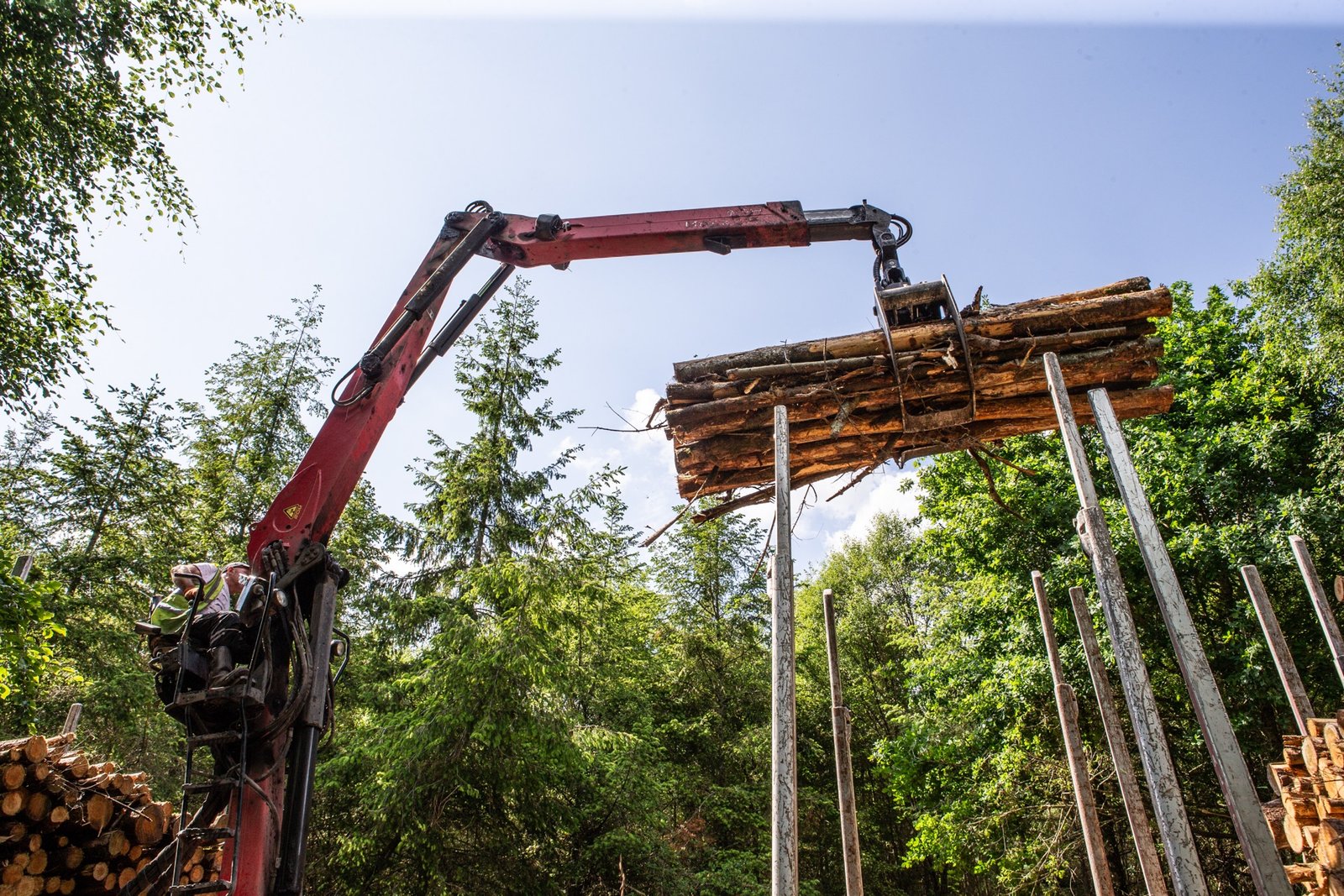 Red crane lifting timber in woodland