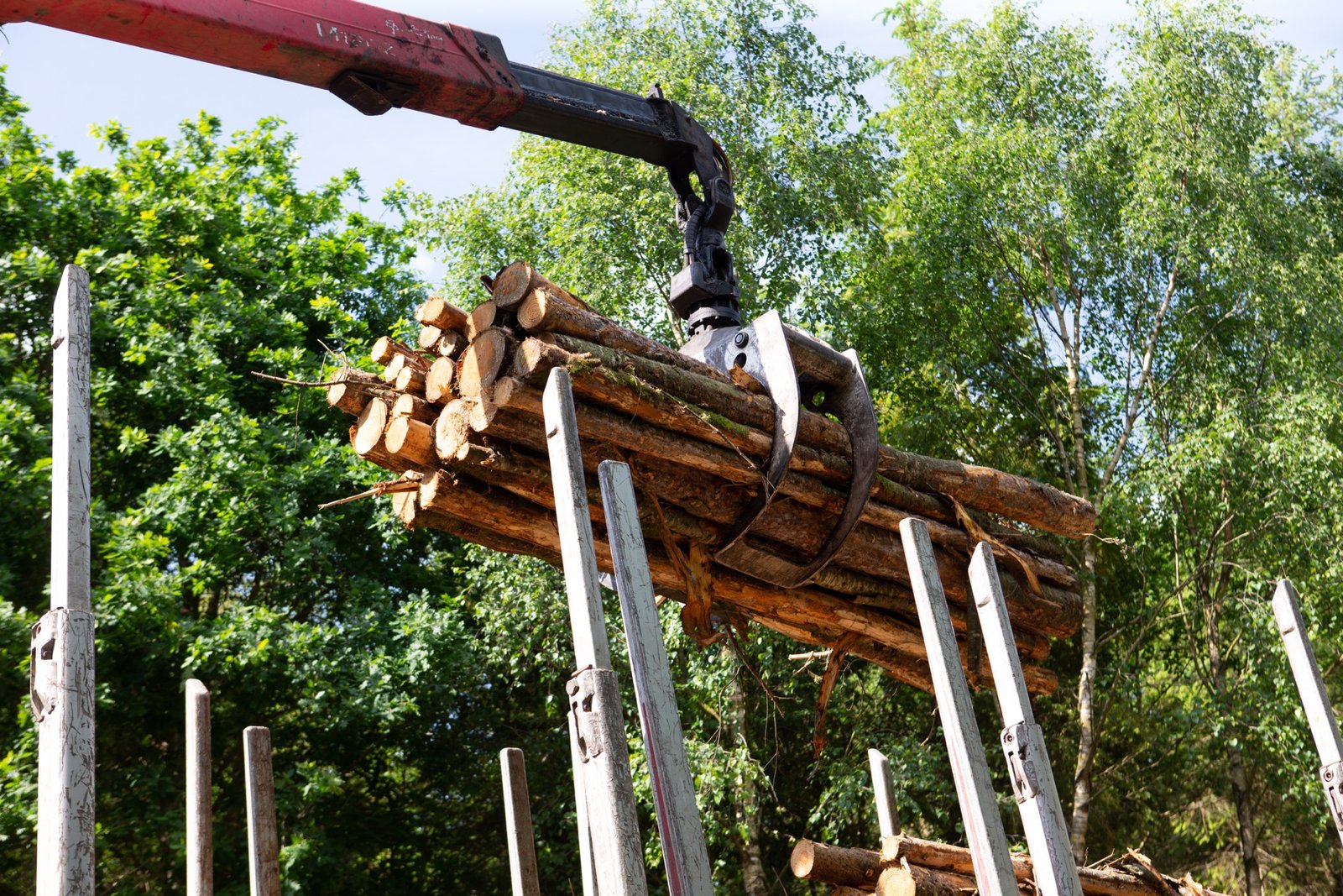 Crane loading timber on bright day