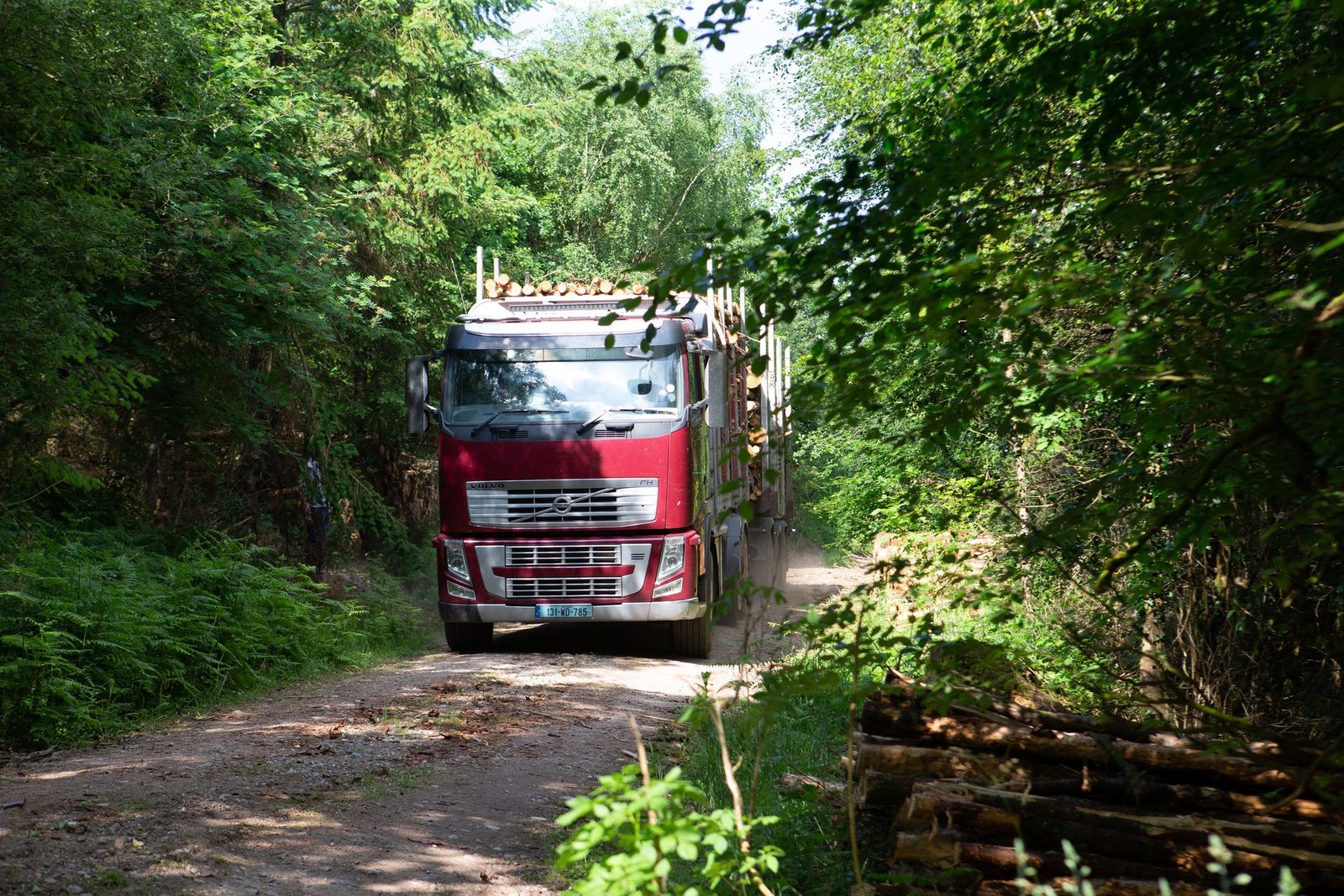 Timber crane working in woodland