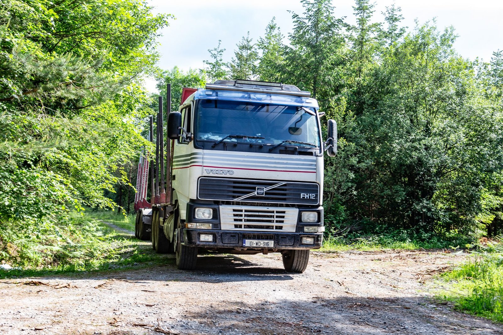 Loaded timber truck on a forest track