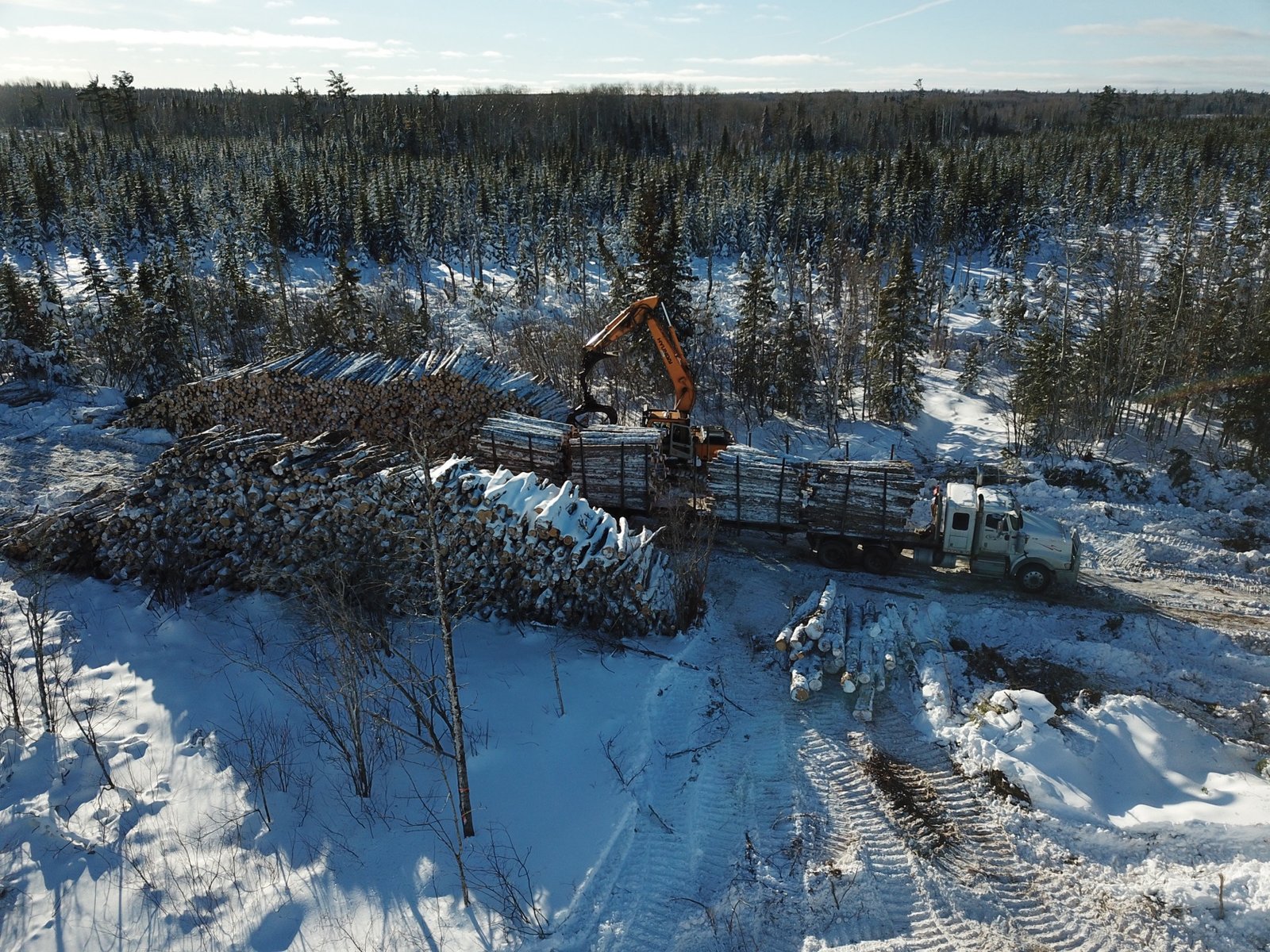 Paul Howell — log truck loading in snowy forest
