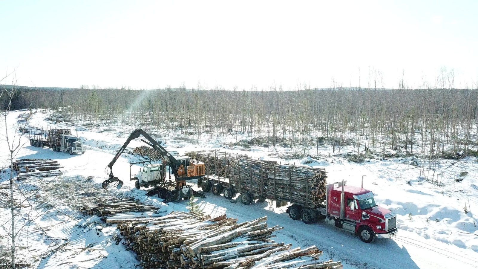 Aerial view of a timber loading operation