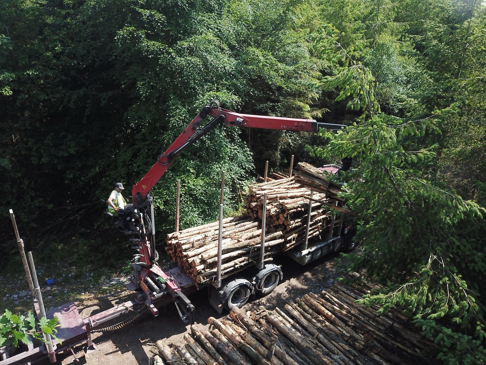 Aerial view of timber loading operation at the forest edge
