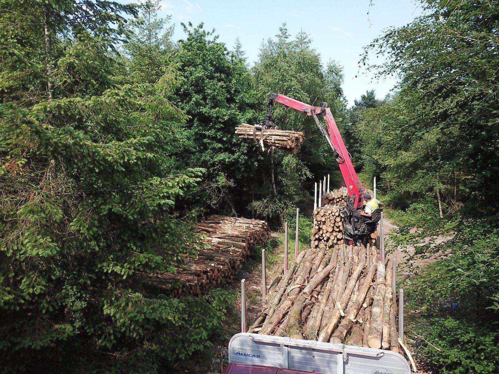 Aerial view of a crane loading timber in green forest