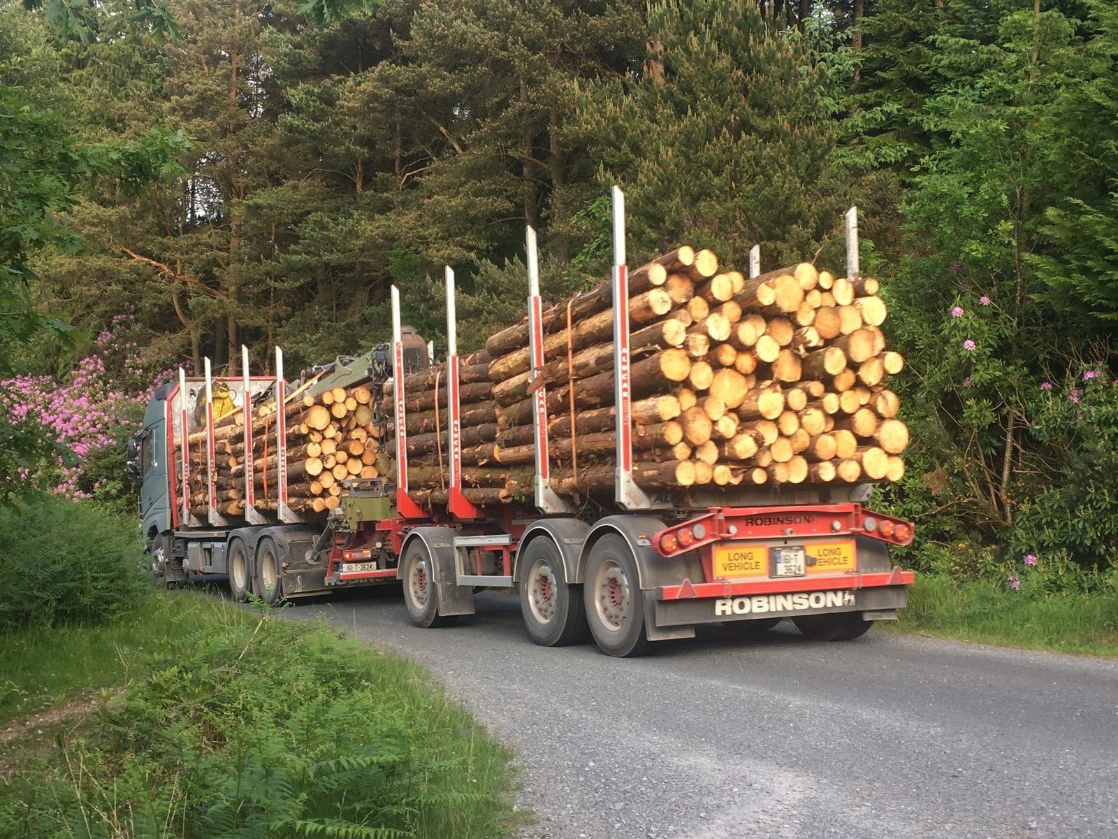 Timber truck loaded with logs on a road
