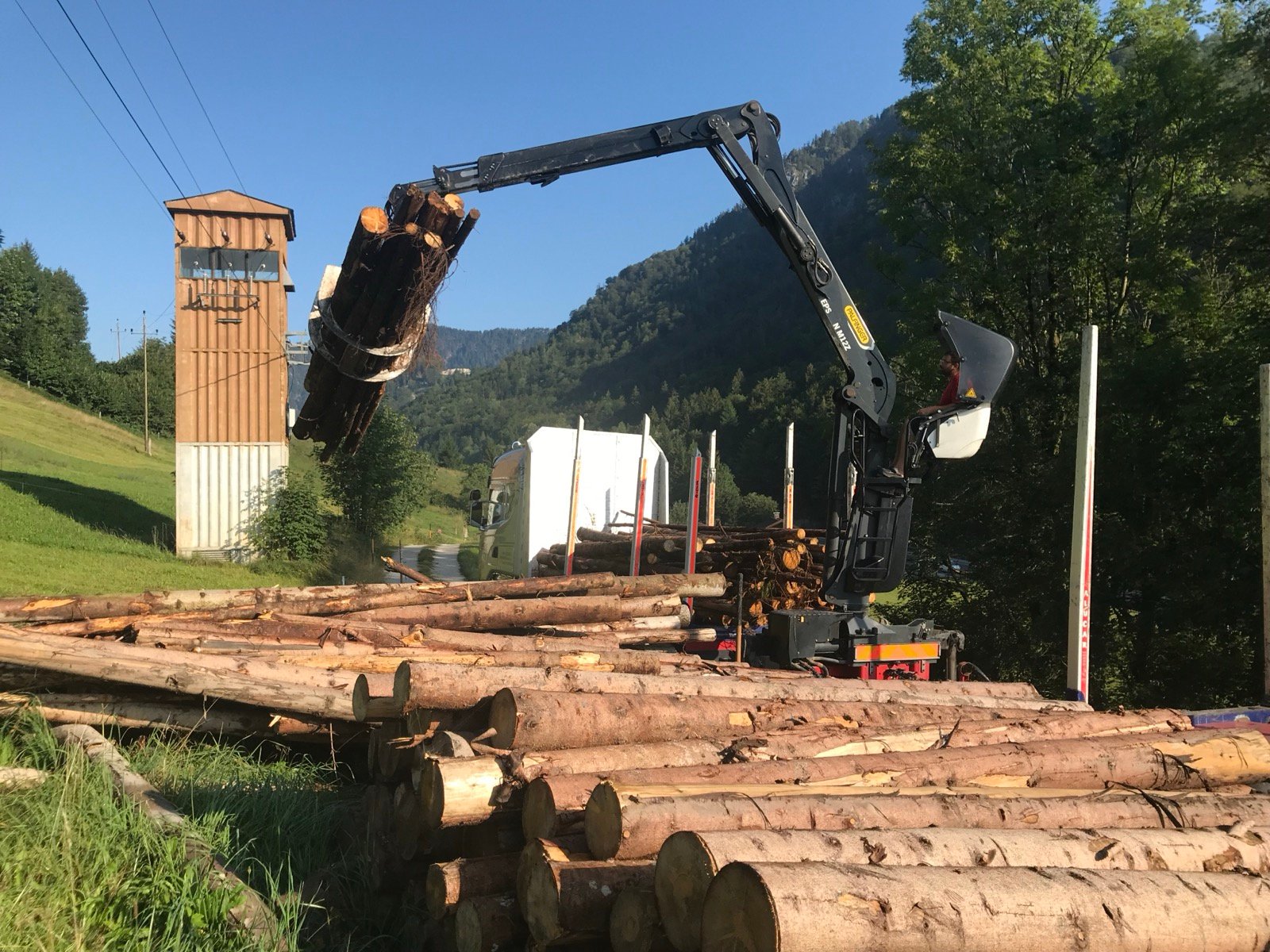 Crane loading timber in the Austrian Alps