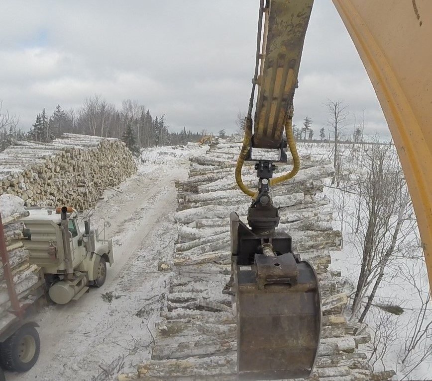 Crane boom and grapple handling timber