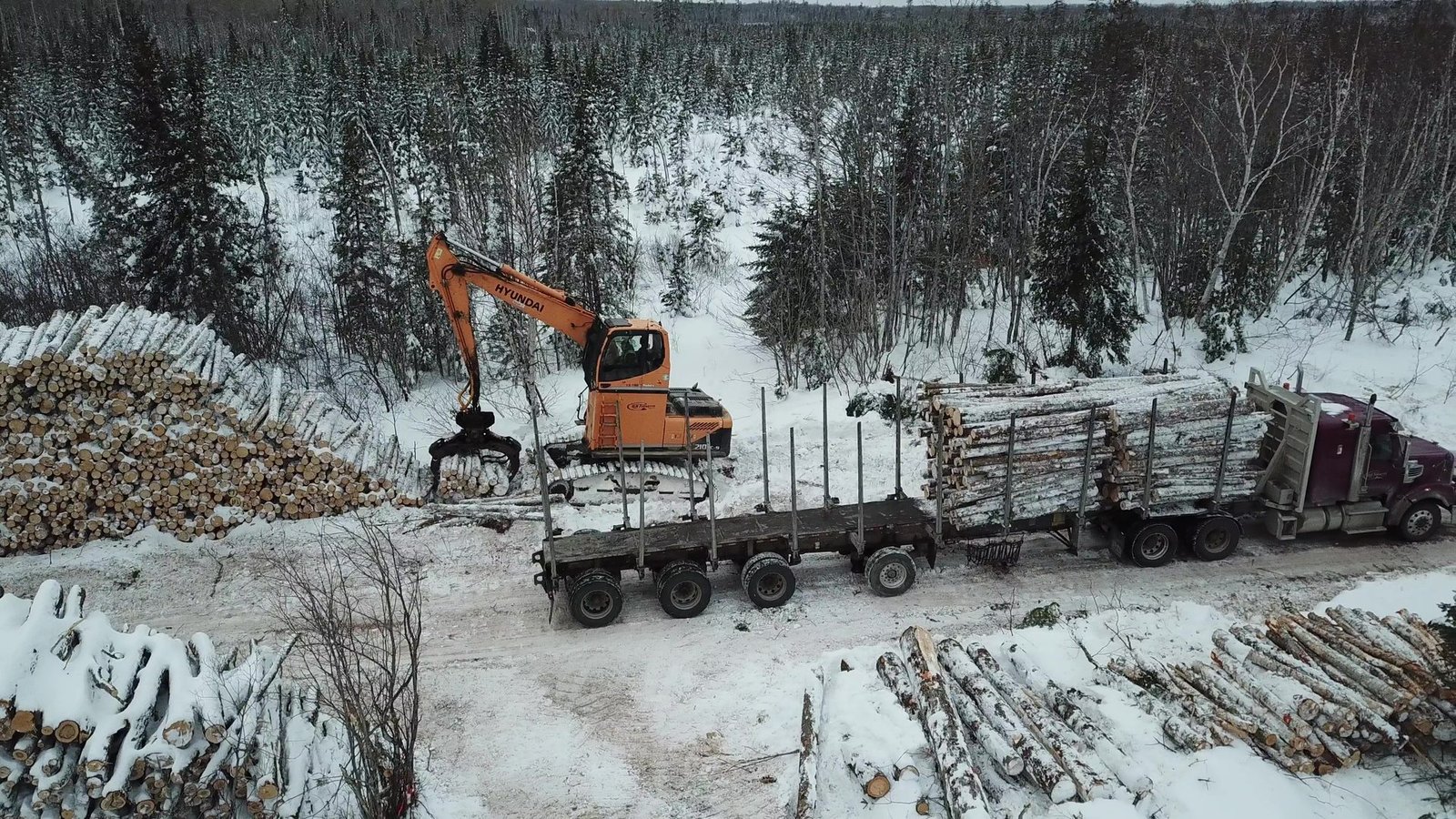 Winter forestry operation with timber machinery