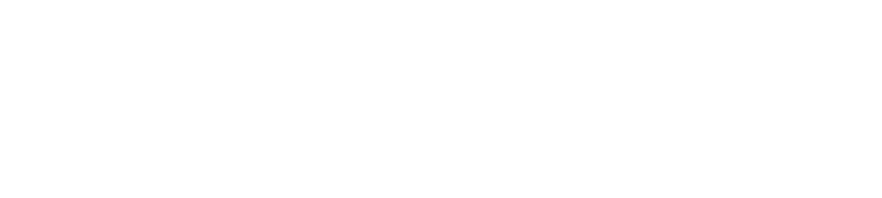 Palfinger crane logo