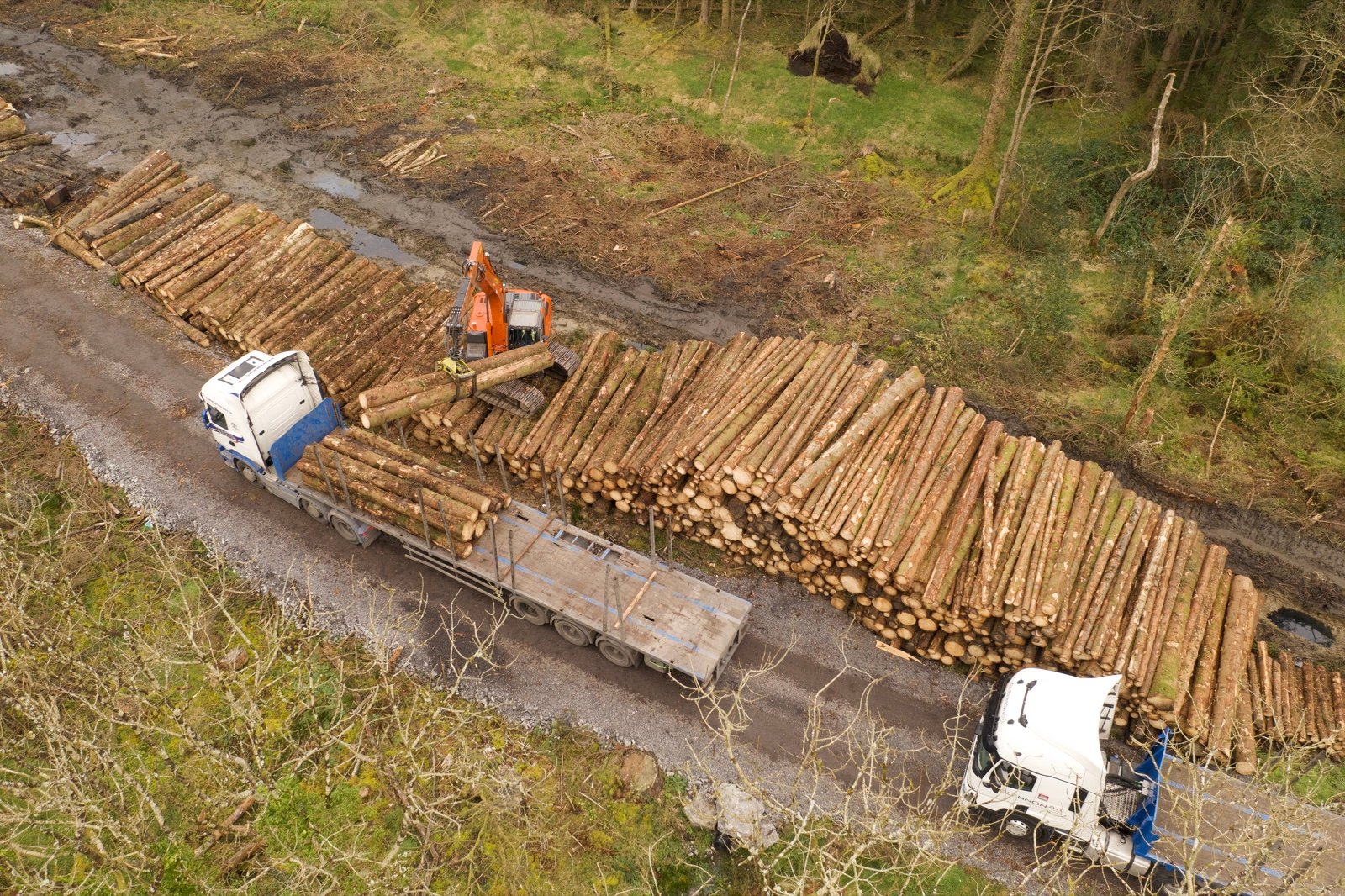ProTrans crane loading timber